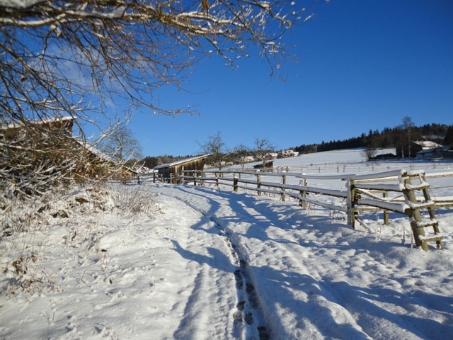 Die Vorweihnachtszeit steht vor der Tür