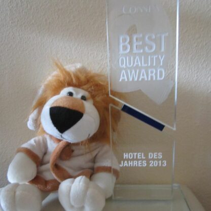 Best Quality Awards 2013