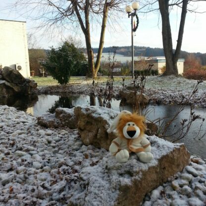 Der erste Schnee in Bad Griesbach