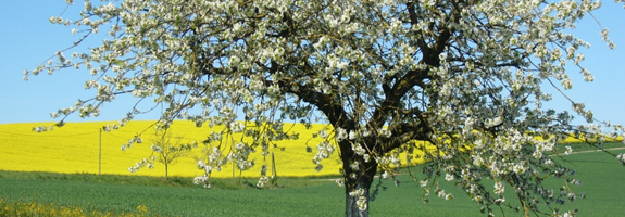 Frühling in Bad Griesbach